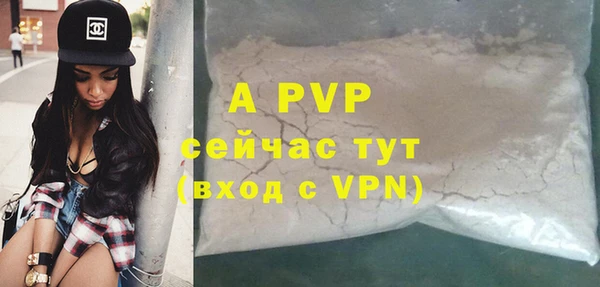 индика Богданович