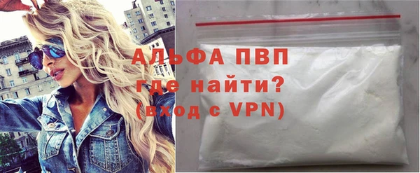 индика Богданович