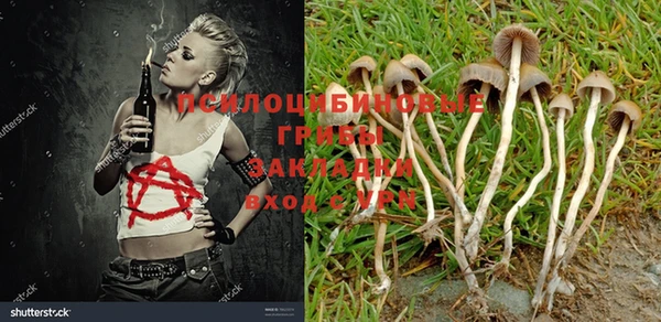 марки nbome Богородицк