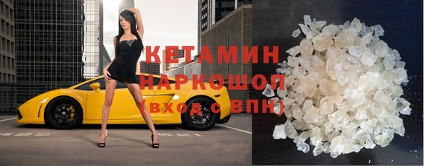индика Богданович