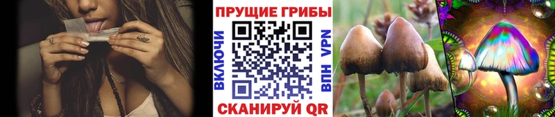 mega tor  Кинешма  Псилоцибиновые грибы мухоморы  купить наркотик 